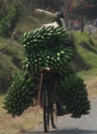 Culture and economics determine the food that we&nbsp;eat