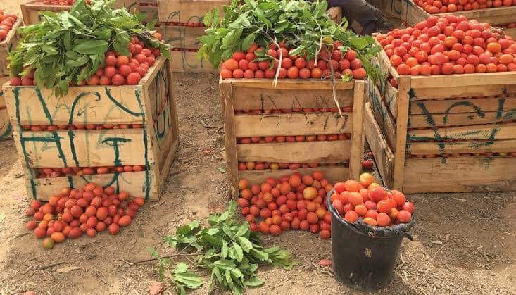 Uganda, subsidise agriculture for&nbsp;food