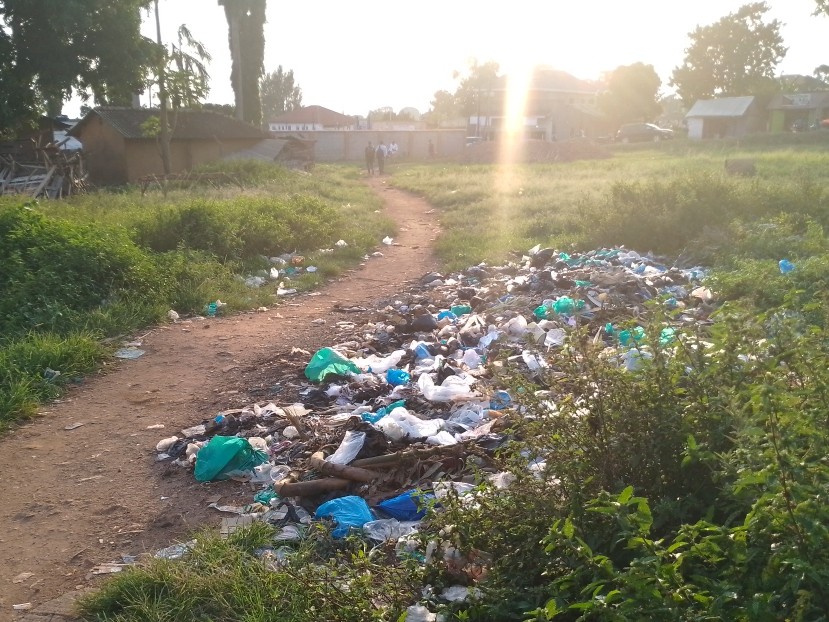 NEMA enforcement of ban on polythene&nbsp;bags