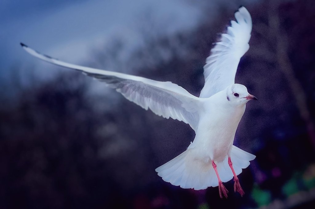 A poem about the meaning of our&nbsp;names