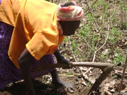 Agriculture: Globalization has made youth&nbsp;lazy