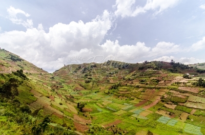 Decolonise Minds – Research&nbsp;Disputable