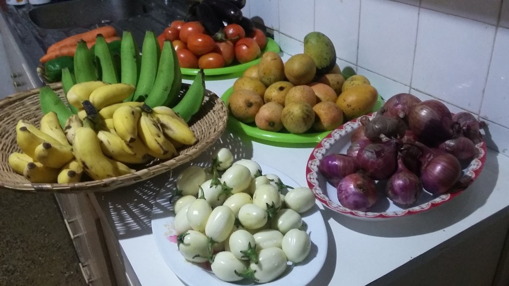 Enhancing National Food Security or&nbsp;Not