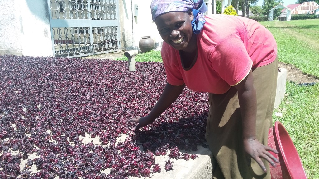 Support Disadvantaged Student Interns in&nbsp;Uganda