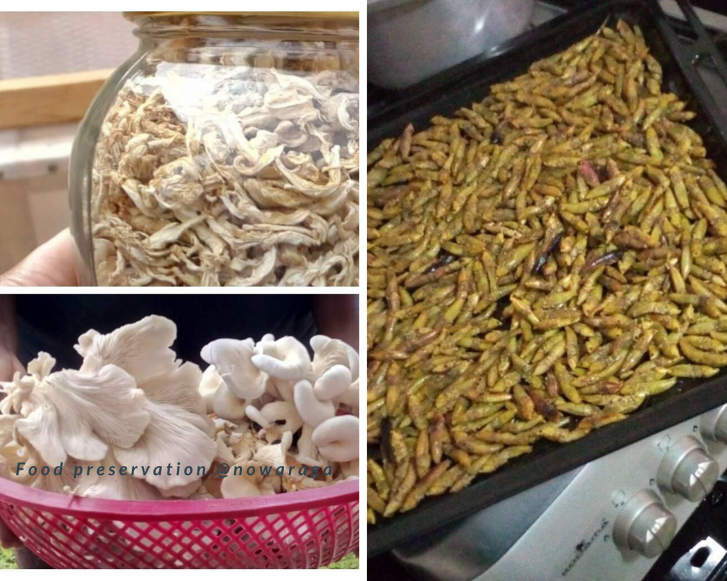 Food and Nutrition Policy and&nbsp;Culture