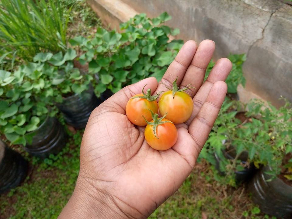 Agriculture policy, land &&nbsp;food