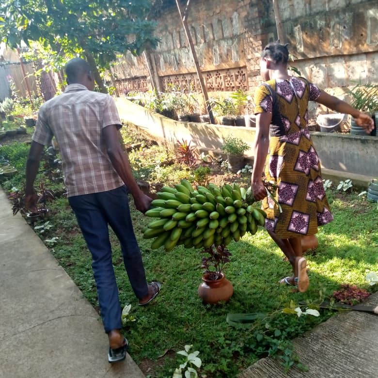 Civic activism rooted in humanism is the mission of blogger Norah Owaraga