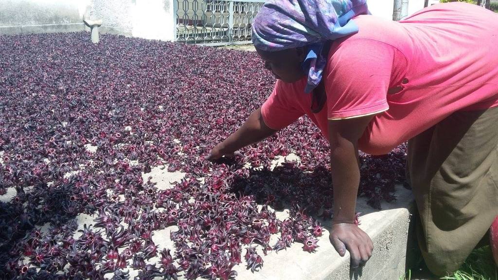 Branding in Ateso, the case of my “Atorot” brand