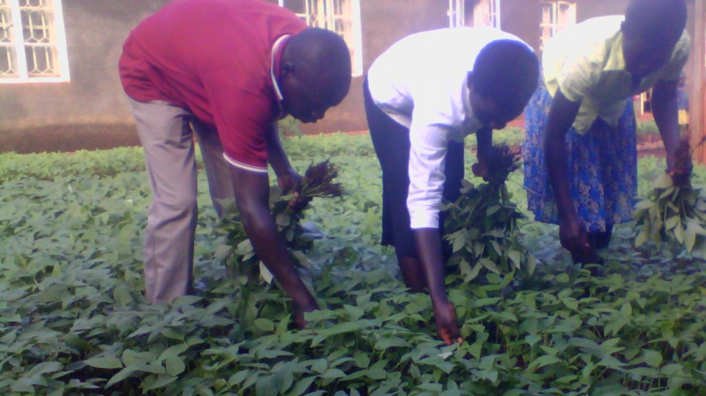 What will make Ugandan farmers object legislation passed without consulting&nbsp;them?