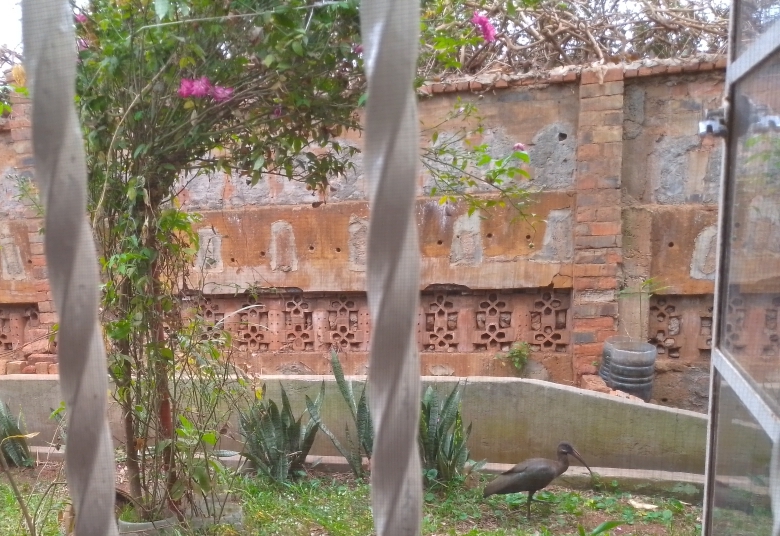 Sights and sounds of nature especially in an urban setting&nbsp;…