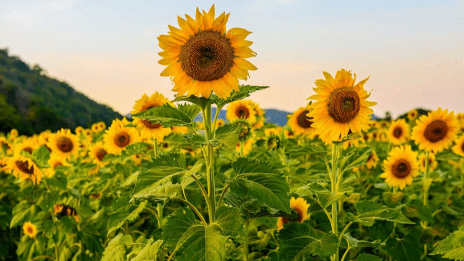 Proactively find time to spend with loved&nbsp;ones