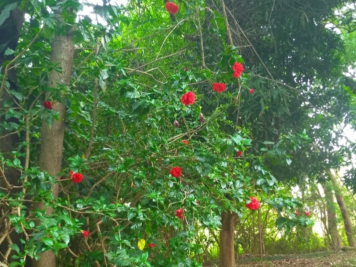 Experimenting and innovating&nbsp;…